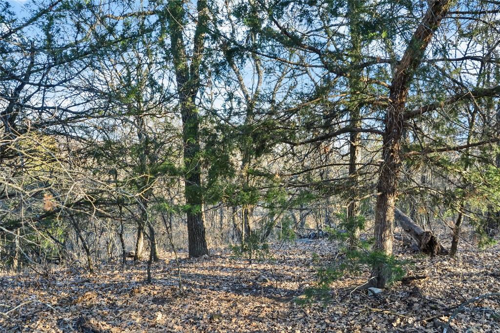 Silver Lakes Ranch - Land