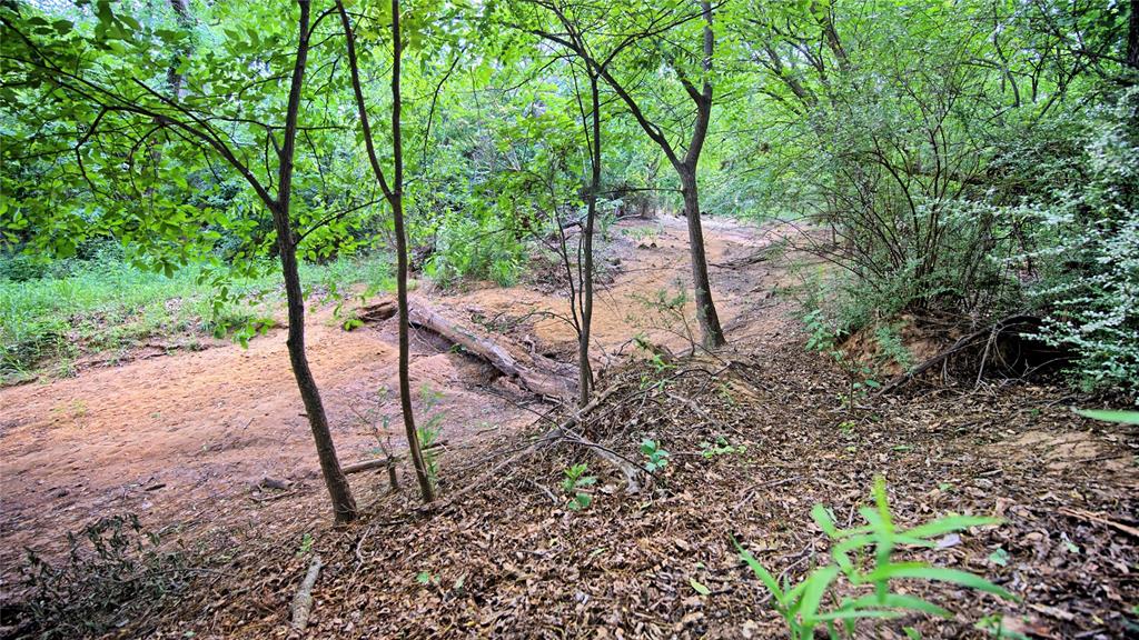 Nocona Lake Estate - Residential