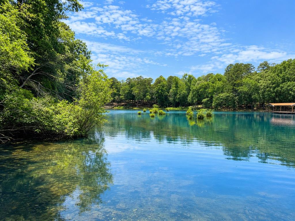 Holly Lake Ranch - Residential