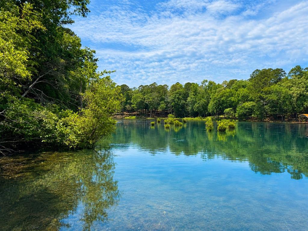 Holly Lake Ranch - Residential