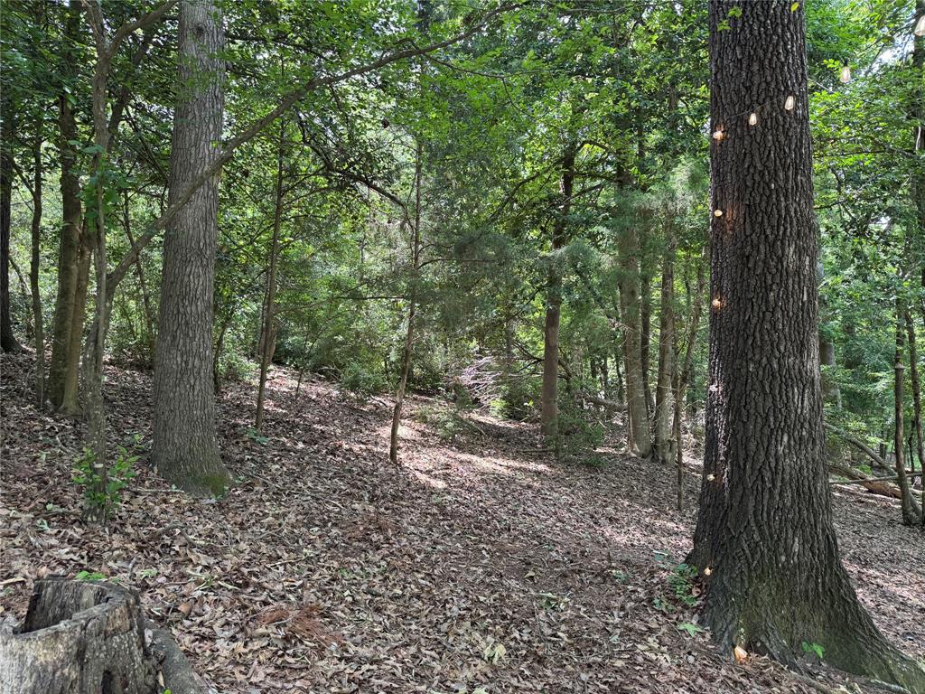 Holly Lake Ranch - Residential