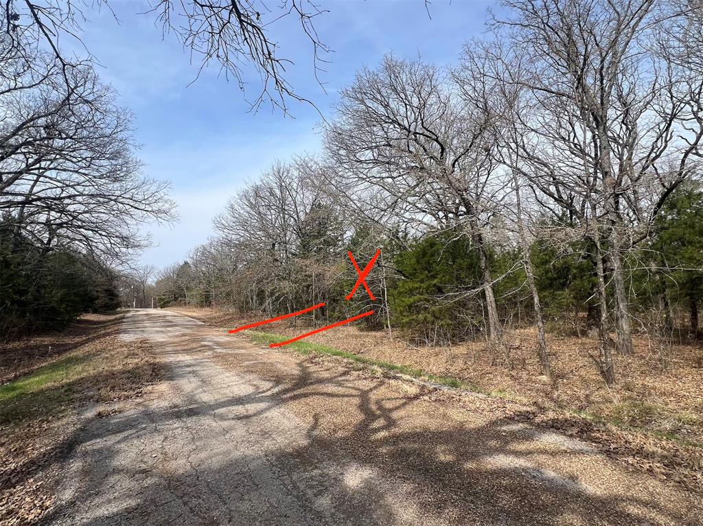 Heavily wooded lot on a quiet street, ideal for building a tiny home or placing a newer manufactured home. Surrounded by vacant parcels, offering added privacy.