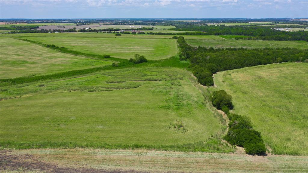 Green F F - Farm