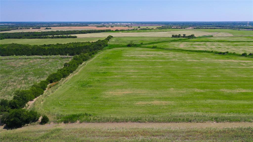 Green F F - Farm