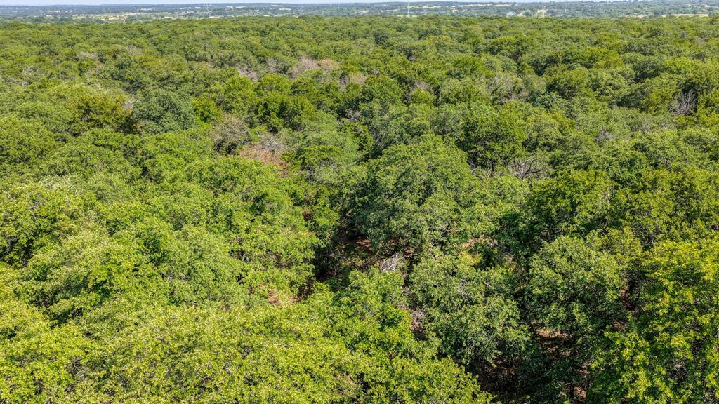 Timber Oaks - Land
