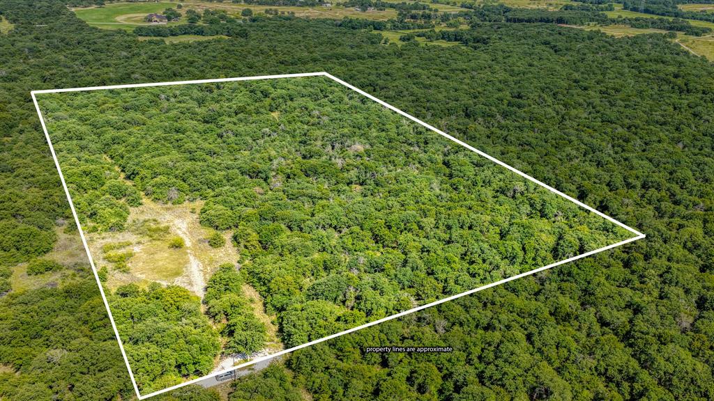 Trees & More Trees! Discover the perfect canvas for your dream home on this gorgeous heavily treed AG EXEMPT 10-acre lot in a serene rural community. Experience the benefits of country living without city taxes, building permits, or water bills, thanks to installing your own private water well. Whether you're ready to build now or looking for a long-term investment, Platinum Ridge Estates is your gateway to a peaceful lifestyle. With no time limit to build, you can secure your piece of paradise now and plan your future home at your leisure. Experience the benefits of country living without city taxes, building permits, or water bills, thanks to installing your own private water well. Embrace the privacy and seclusion of this beautiful property, all while being only 35 minutes west of Fort Worth; 20 min south of Decatur; minutes north of Springtown. Start living the relaxed country lifestyle you deserve today! Txt keyword RANCH3 to 88000 for more details.