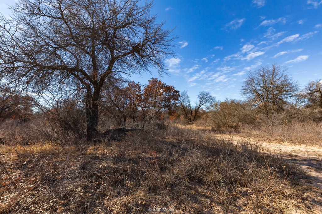 Game trails deluxe! A short drive outside of Abilene is this hunting oasis with an abundance of shinnery and mature Post Oak trees. It's hard to take a step without walking on top of the Whitetail deer, feral hogs and Rio Grande turkey tracks. This place won't last long. 

Hunting and the shinnery are synonymous. This property has lots of good mature oak trees putting off protein and plenty of cover to roam free. The neighbor helps to manage the property for hunting, so great care has been taken to make sure the hunting is excellent. The property has Whitetail deer, Rio Grande turkey, feral hogs, and plenty of varmints.
