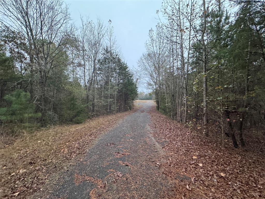 Chapel Hill - Land