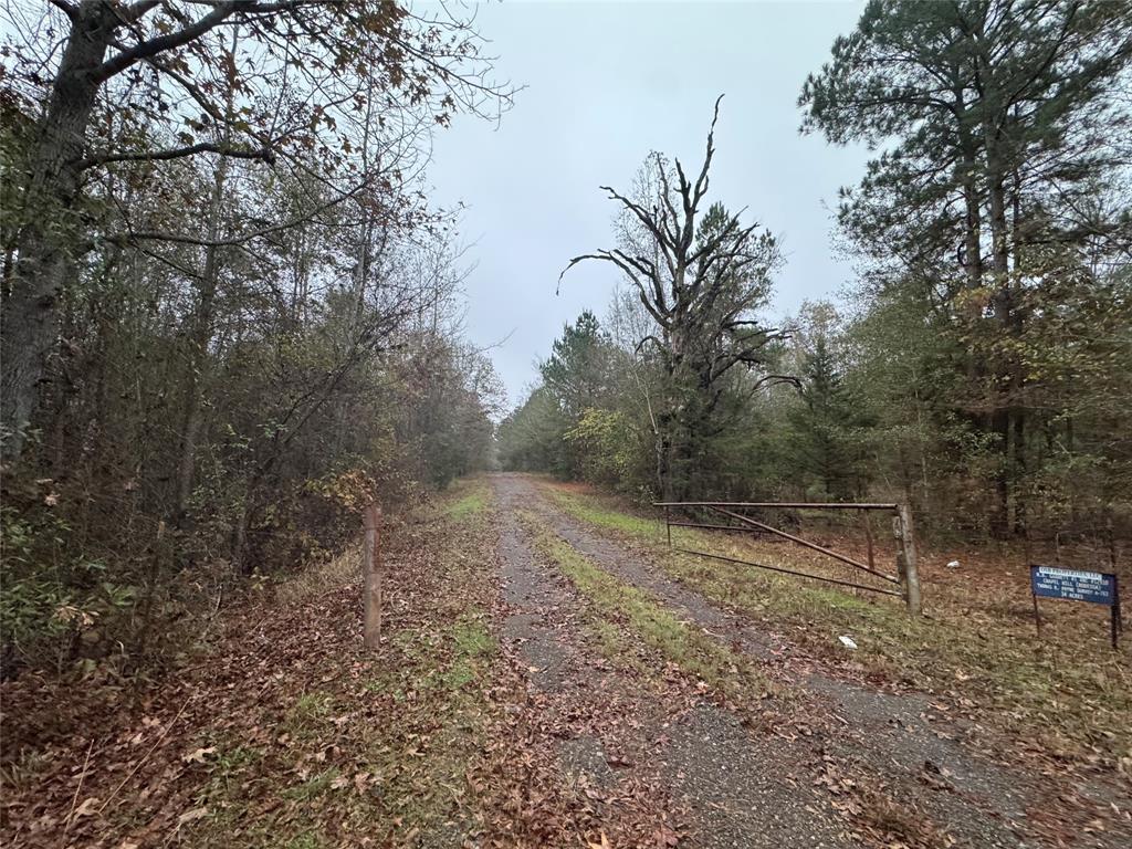 Chapel Hill - Land