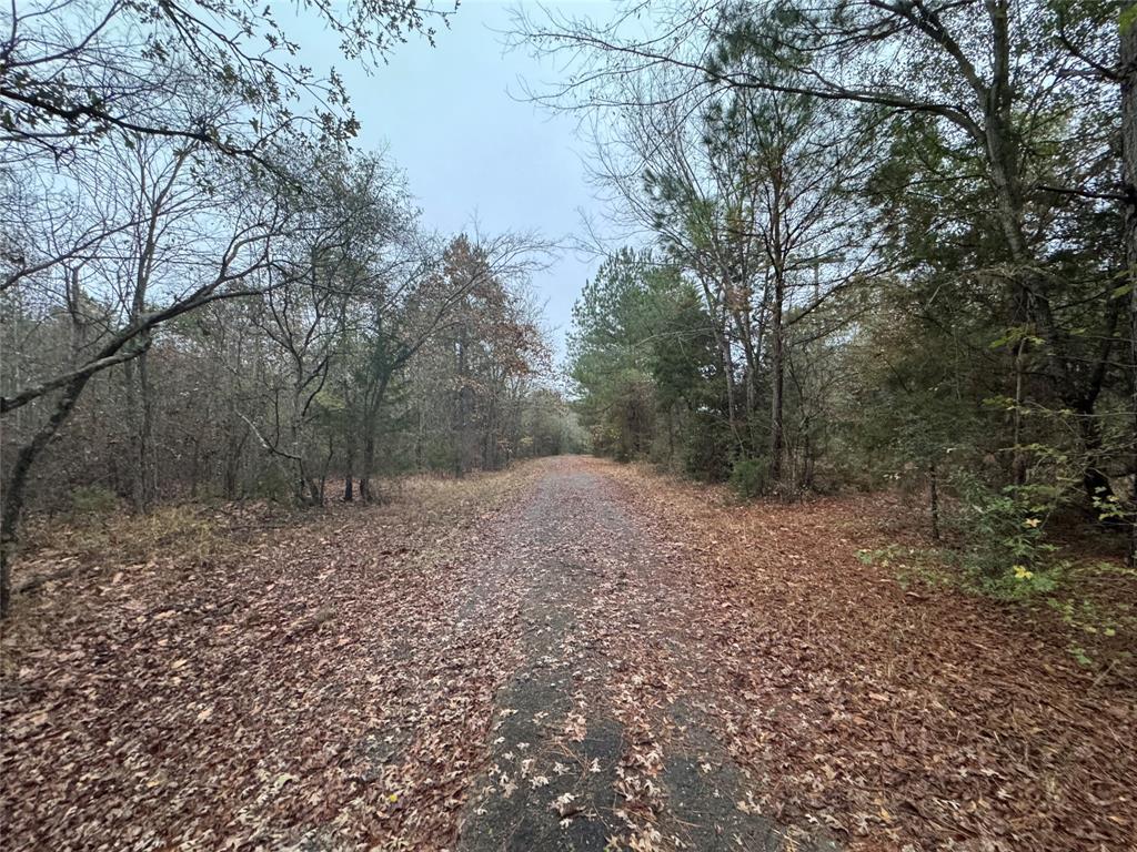 Chapel Hill - Land