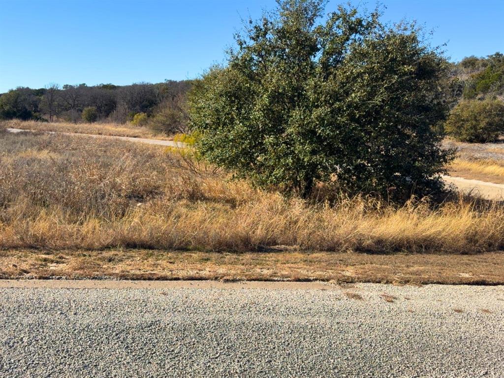 OWNER-FINANCING AVAILABLE!!  Discover this stunning corner lot located in the highly prestigious and serene Phase 11 of The Cliffs Resort, nestled along the breathtaking shores of Possum Kingdom Lake. This exclusive lot boasts close proximity to one of the resort’s two luxurious swimming centers, offering both convenience and relaxation.  With its lush greenery and beautifully positioned shade trees, this property provides a natural charm and tranquility that enhances the overall landscaping and appeal. Build your dream home in one of the most desirable areas of The Cliffs Resort and enjoy all the perks this vibrant lake community has to offer. Don't miss your chance to own a slice of paradise!