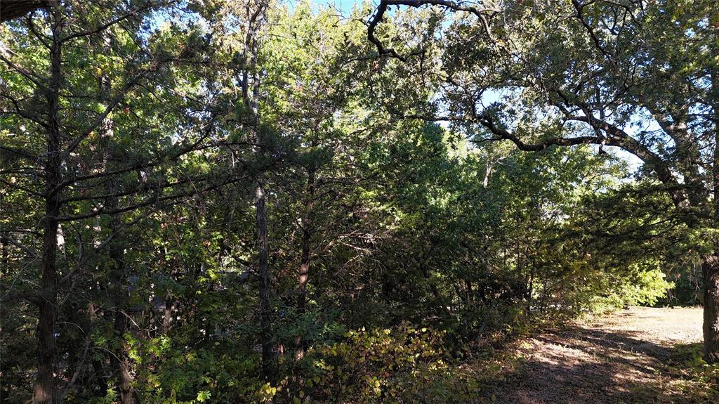 Tanglewood Hills Ctry Cl 10-15 - Land