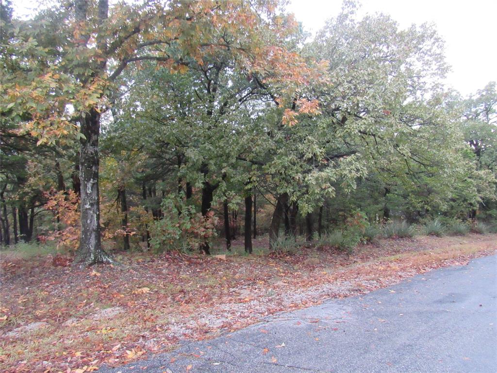 Tanglewood Hills Ctry Cl 10-15 - Land