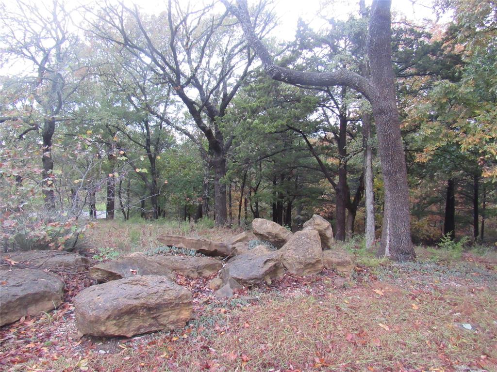 Tanglewood Hills Ctry Cl 10-15 - Land