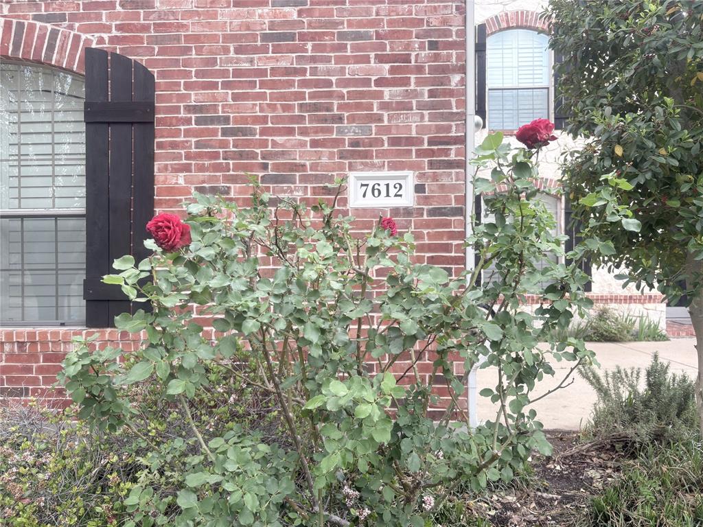 Sachse Farms - Residential