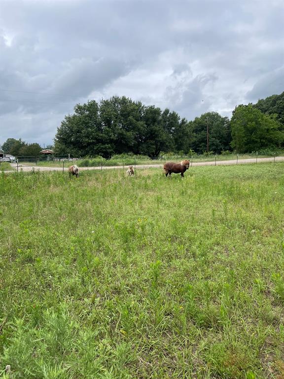 Countrywood - Land