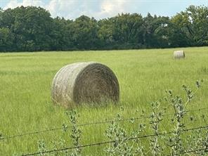 none - Farm