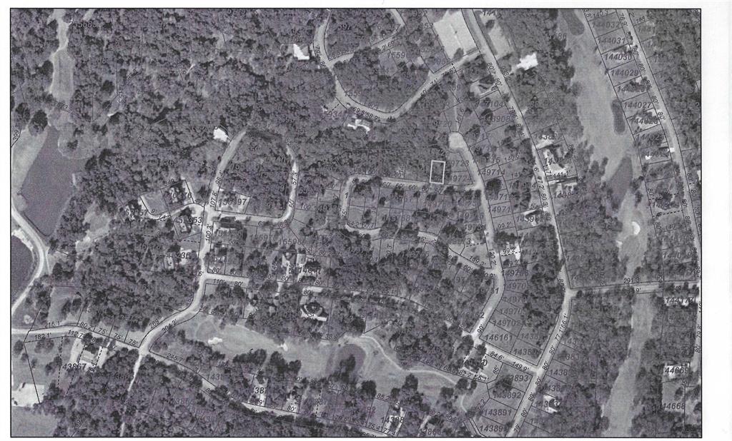 PRICED TO SELL!!!  White Bluff wooded lot, close to golf course and marina. 
This property is just a short drive down to Lake Whitney. With this property you can enjoy two 18-hole golf courses, four swimming pools, boat ramp, marina, RV camping, tennis courts, playground, restaurants, bars, tennis courts, conference center, community chapel, boat storage and Lake Whitney itself which is one of the prettiest lakes in Texas. White Bluff is a great place to for the entire family.  Call for more information.