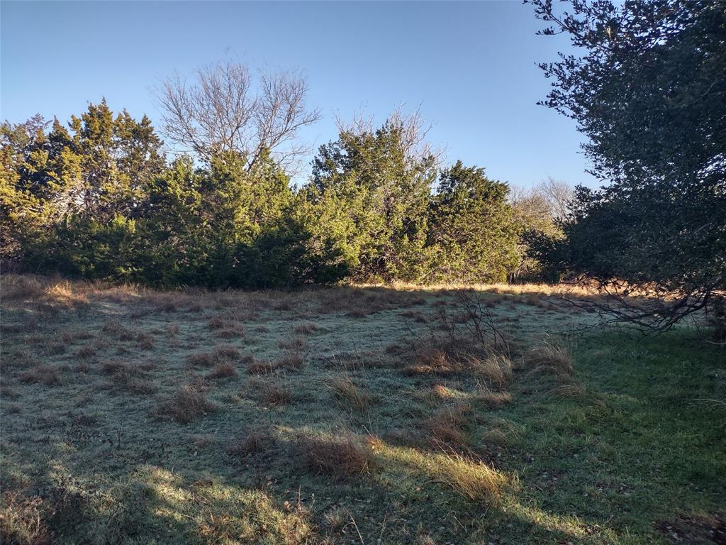 WHITE BLUFF 37 - Land