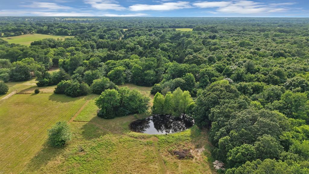 ACRES: 5.000 ABS: 794 TR: 3-02 SUR: RIGGS JAM - Residential