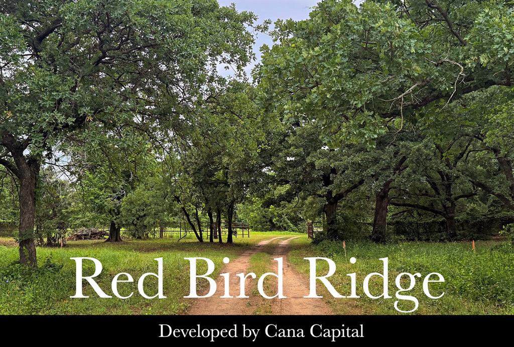 Red Bird Ridge - Land