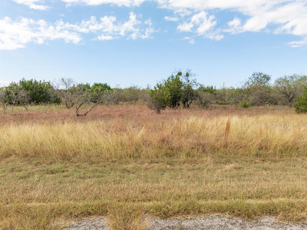 White Bluff #39 - Land