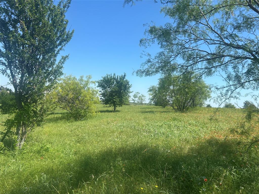 Bear Creek Ranch - Land