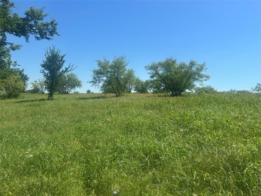 Bear Creek Ranch - Land