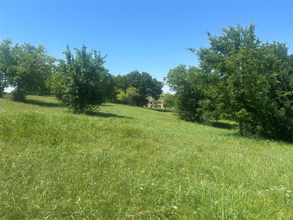 Bear Creek Ranch - Land
