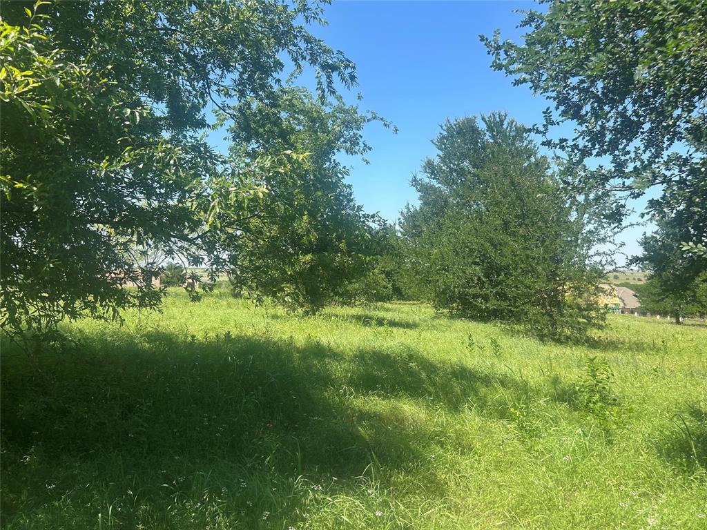 Bear Creek Ranch - Land