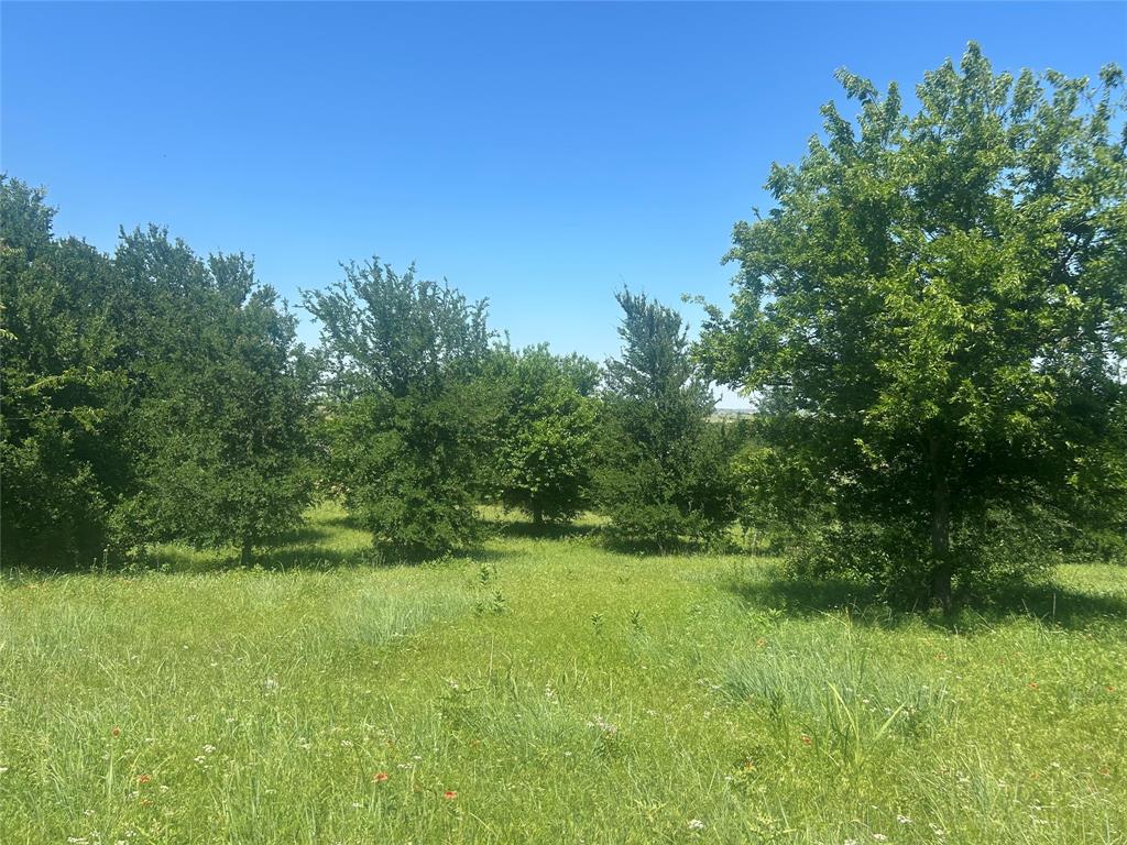 Bear Creek Ranch - Land
