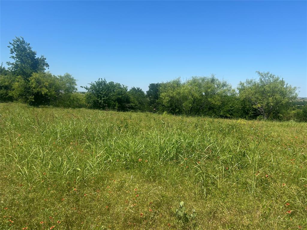 Bear Creek Ranch - Land