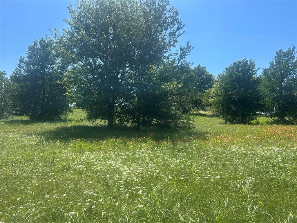 Bear Creek Ranch - Land