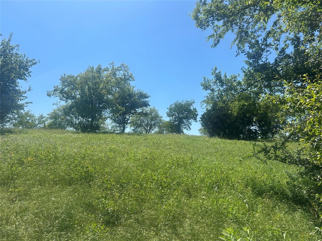 Bear Creek Ranch - Land