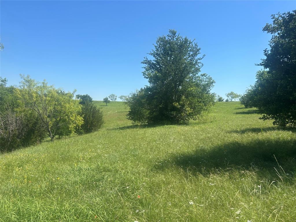 Bear Creek Ranch - Land