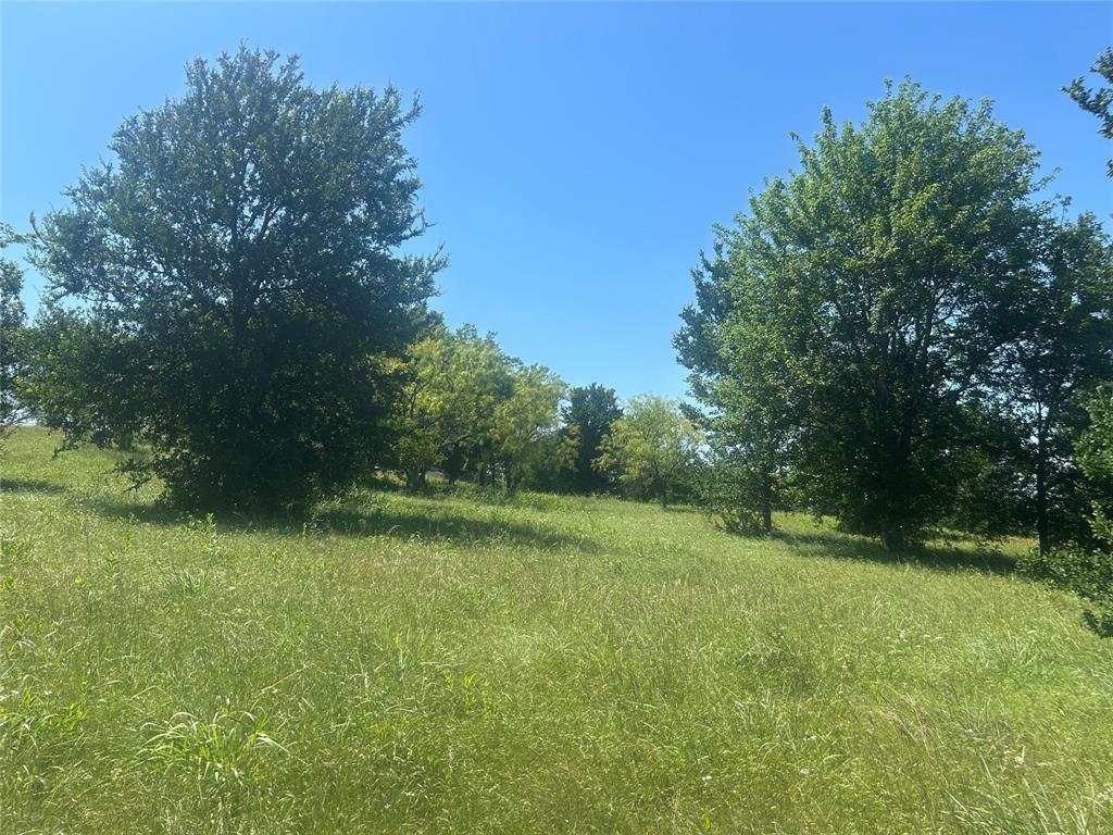 Bear Creek Ranch - Land