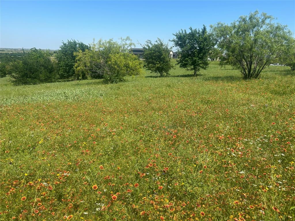 Bear Creek Ranch - Land