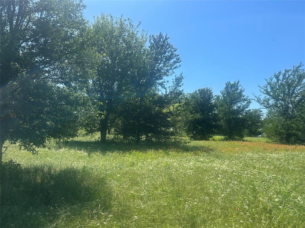 Bear Creek Ranch - Land