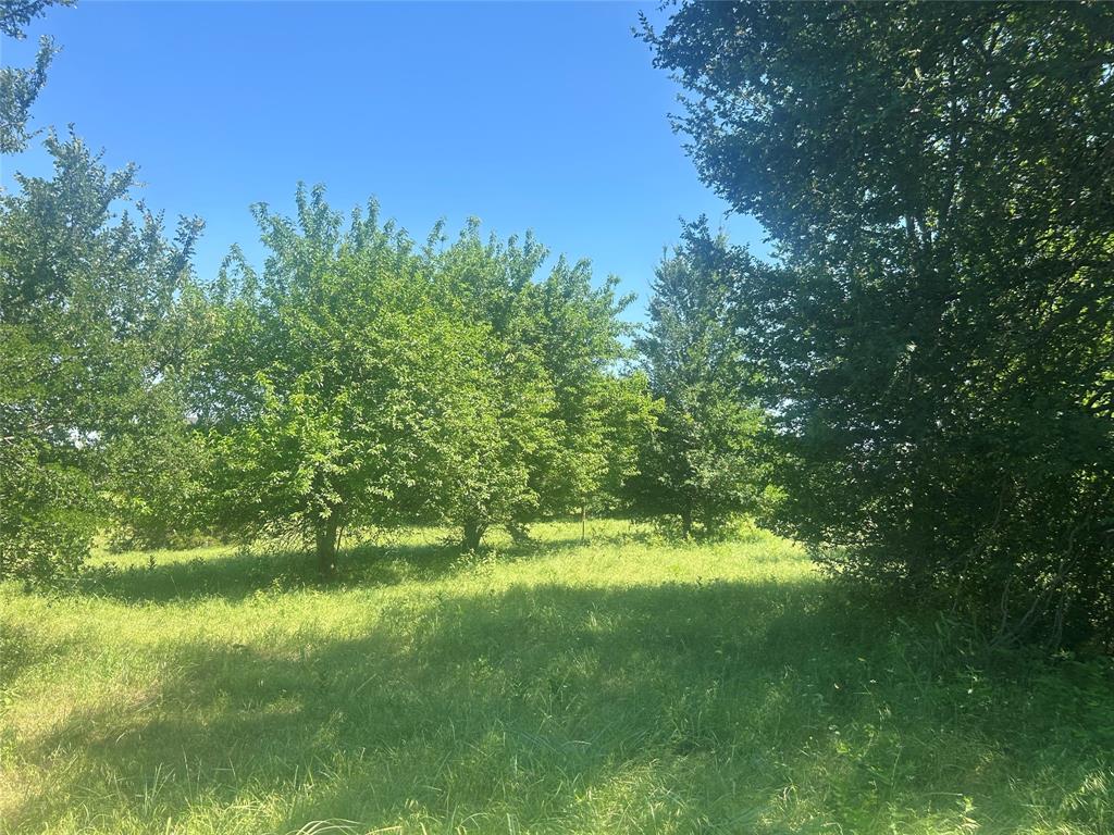 Bear Creek Ranch - Land