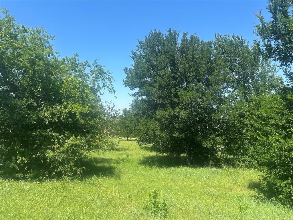 Bear Creek Ranch - Land