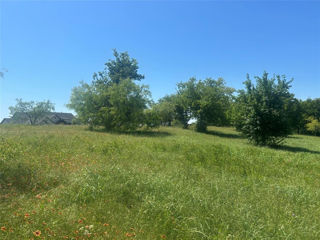 Bear Creek Ranch - Land