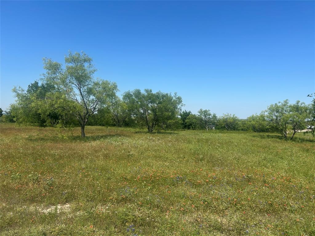 Bear Creek Ranch - Land