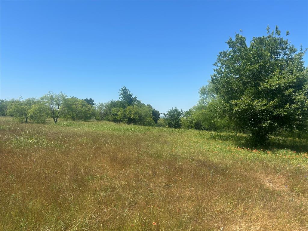 Bear Creek Ranch - Land