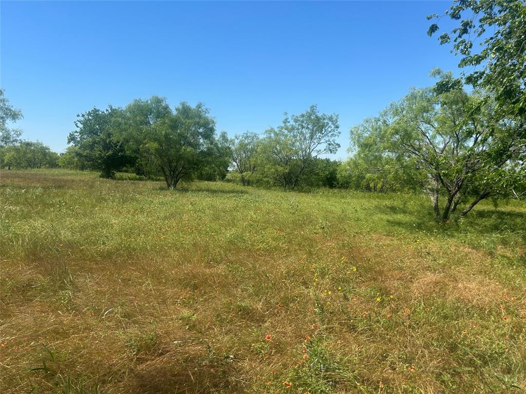Bear Creek Ranch - Land