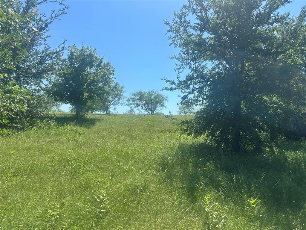 Bear Creek Ranch - Land
