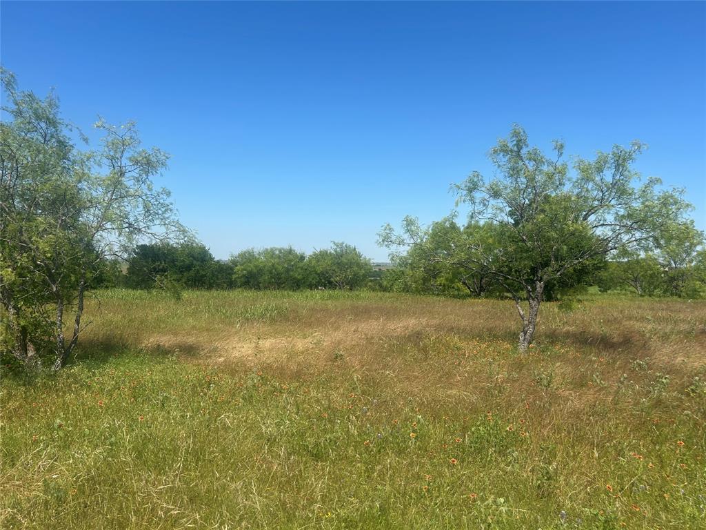 Bear Creek Ranch - Land
