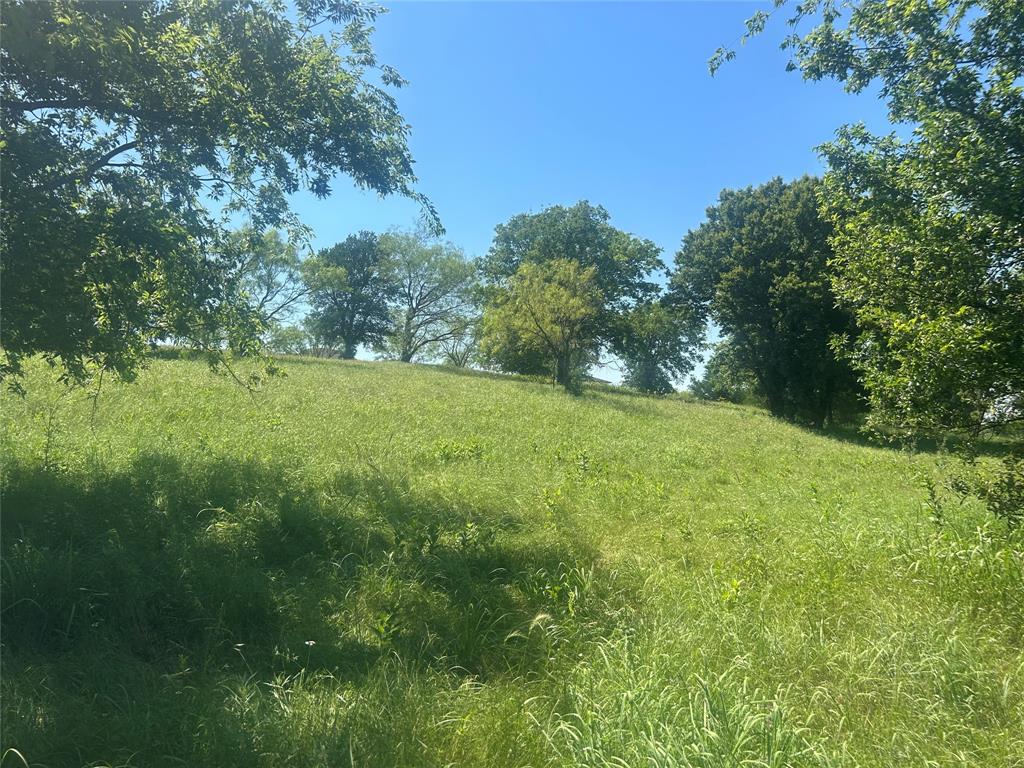 Bear Creek Ranch - Land