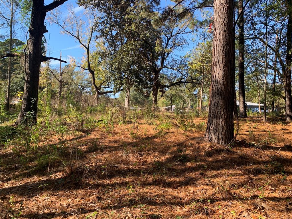 Hard to find and full of potential, this 1.13-acre wooded lot inside the city limits offers an ideal setting for your dream home. With utilities available at the road, the property features rolling terrain, mature trees for natural privacy, and a small creek that adds character and charm. Choose from multiple building sites—build near the road for easy access or take advantage of the elevated hilltop for seclusion. Conveniently located near Bel Air Elementary and the hospital, this serene tract provides both privacy and in-town convenience. Bring your plans and make it your own! No mobile homes permitted.