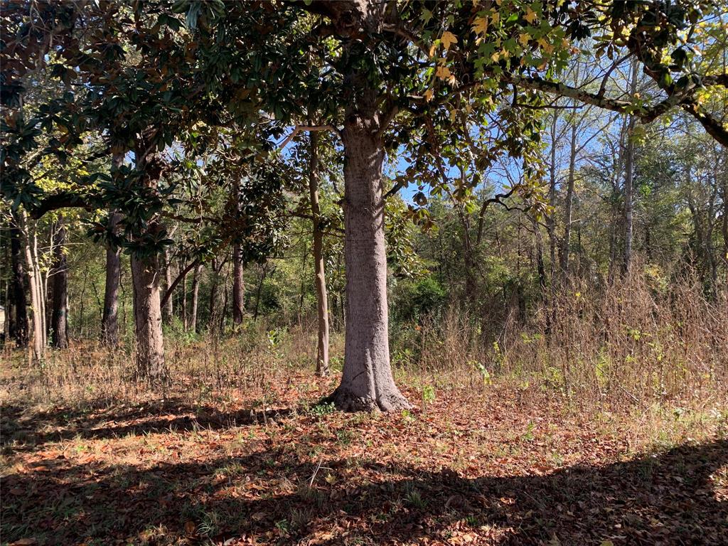 Tract 159 - Land