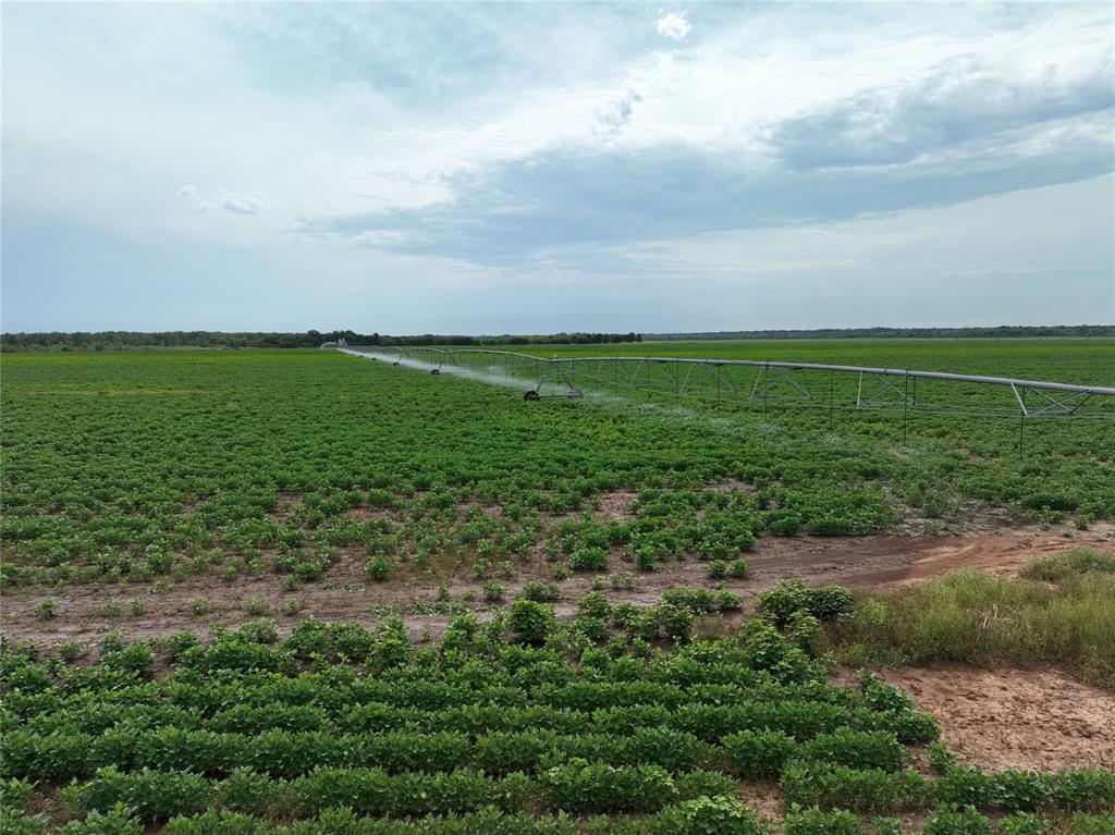 NA - Farm